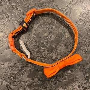 Halloween small dog collar